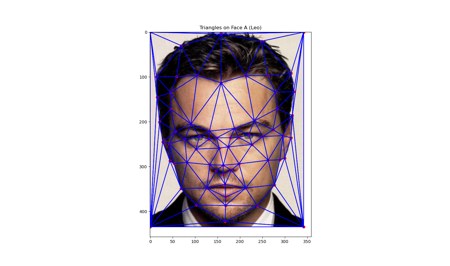 Triangulation of corresponding points on Leo's face